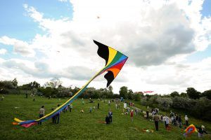 В «Царицыне» пройдет шоу воздушных змеев. Фото: Пелагия Замятина, «Вечерняя Москва»